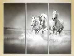 Triptic Trei cai albi