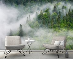 Pădure de conifere la munte, în ceață