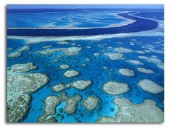 Marele recif de corali din Australia