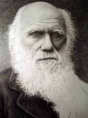 Charles Darwin_02
