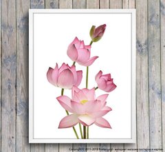 Poster buchet de lotuși roz, foto