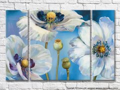 Flori albe pe fond albastru