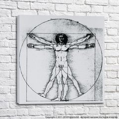 Рисунок Витрувианского человека Леонардо да Винчи