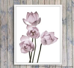 Poster buchet de lotuși roz pal, foto