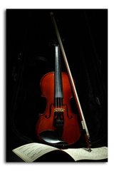 Carte de vioară și muzică