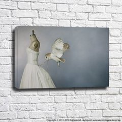 Манекен в белом платье и сова, развязывающая шнуровку.
