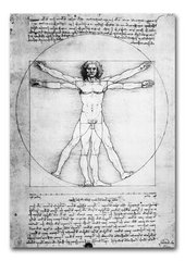 Omul Vitruvian de Leonardo Da Vinci