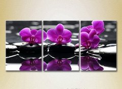 Триптих Фиолетовые орхидеи на камнях_01