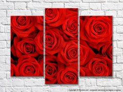 Triptic de trandafiri rosii