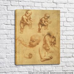 Sketch of baby, Da Vinci