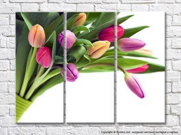 Buchet de lalele multicolore cu flori nedeschise
