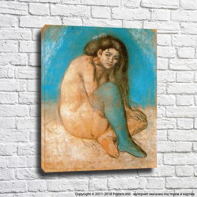 Picasso „Femeie nudă așezată”, 1903.