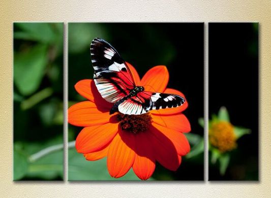 Триптих Бабочка на цветке_01