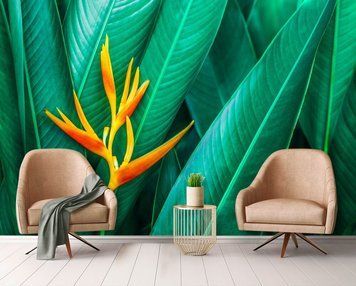 Floare exotică pe fundal de frunze tropicale de smarald
