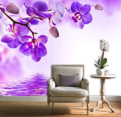 Фиолетовая орхидея на фоне воды