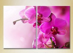 Диптих Фиолетовые орхидеи_01