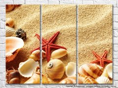 Морские звезды и ракушки на песчаном пляже