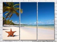 На пляже с пальмами морская звезда