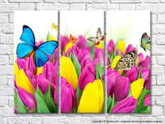 Бабочки на желтых и фиолетовых тюльпанах