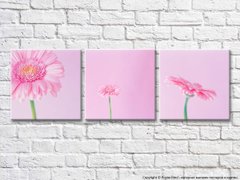 Триптих из розовых гербер на розовом фоне