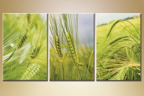 Триптих Пшеничное поле