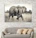 Африканский слон в саванне, сепия