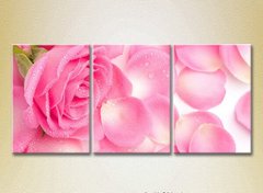 Triptic Trandafir roz și petale