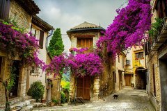 Фреска улочка с яркими фиолетовыми цветами