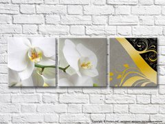 Белая орхидея на сером фоне и золотые узоры