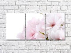 Триптих из розовых цветов