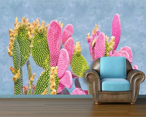 Cactusi multicolori pe un fundal albastru pastel