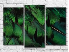 Зеленые перья птиц