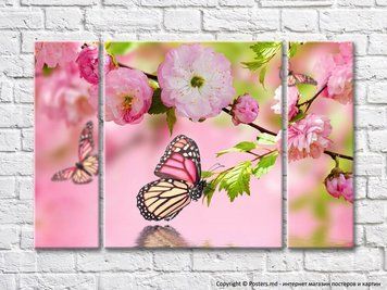 Ramuri pestrițe de fluturi și sakura pe fond roz