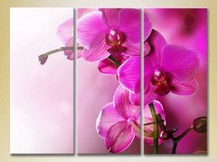 Триптих Фиолетовые орхидеи_01