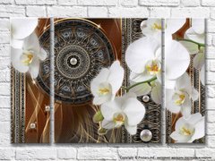 Белая орхидея на коричневом абстрактном фоне