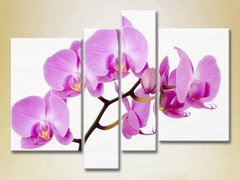 Полиптих Орхидеи сиреневые