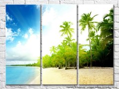 Пляж с пальмами и море