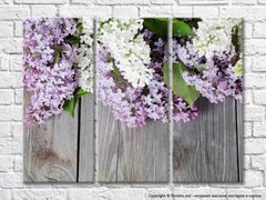 Liliac și flori albe de liliac pe un fundal de scândură