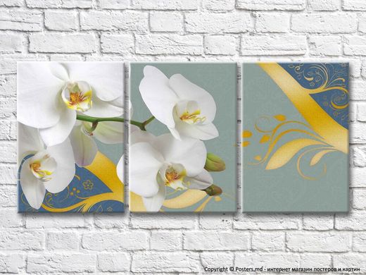 Белая орхидея и золотые узоры на голубом фоне