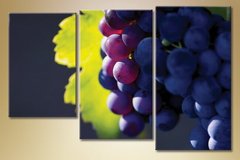 Триптих, виноград