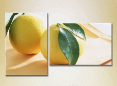 Диптих Два лимона_01