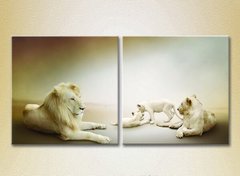 Диптих Семейство львов