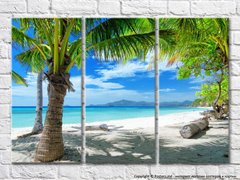 Пляж и пальмамы на фоне моря