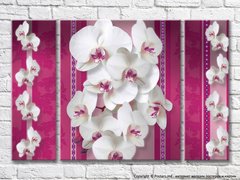 Белые орхидеи на розовом фоне с узорами