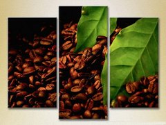 Триптих Зерна, листья кофе
