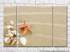 Морская звезда и ракушка на песке