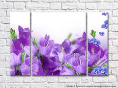 Сиреневые колокольчики и синие цветочки на белом фоне