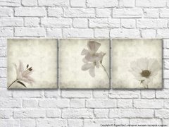 Триптих из светлых цветов на сером фоне