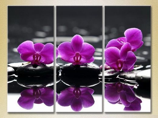 Триптих Фиолетовые орхидеи на камнях