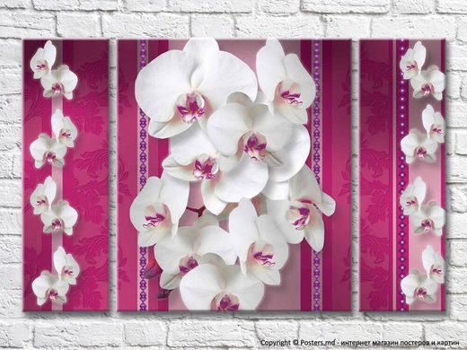Orhidee albe pe un fundal roz cu modele